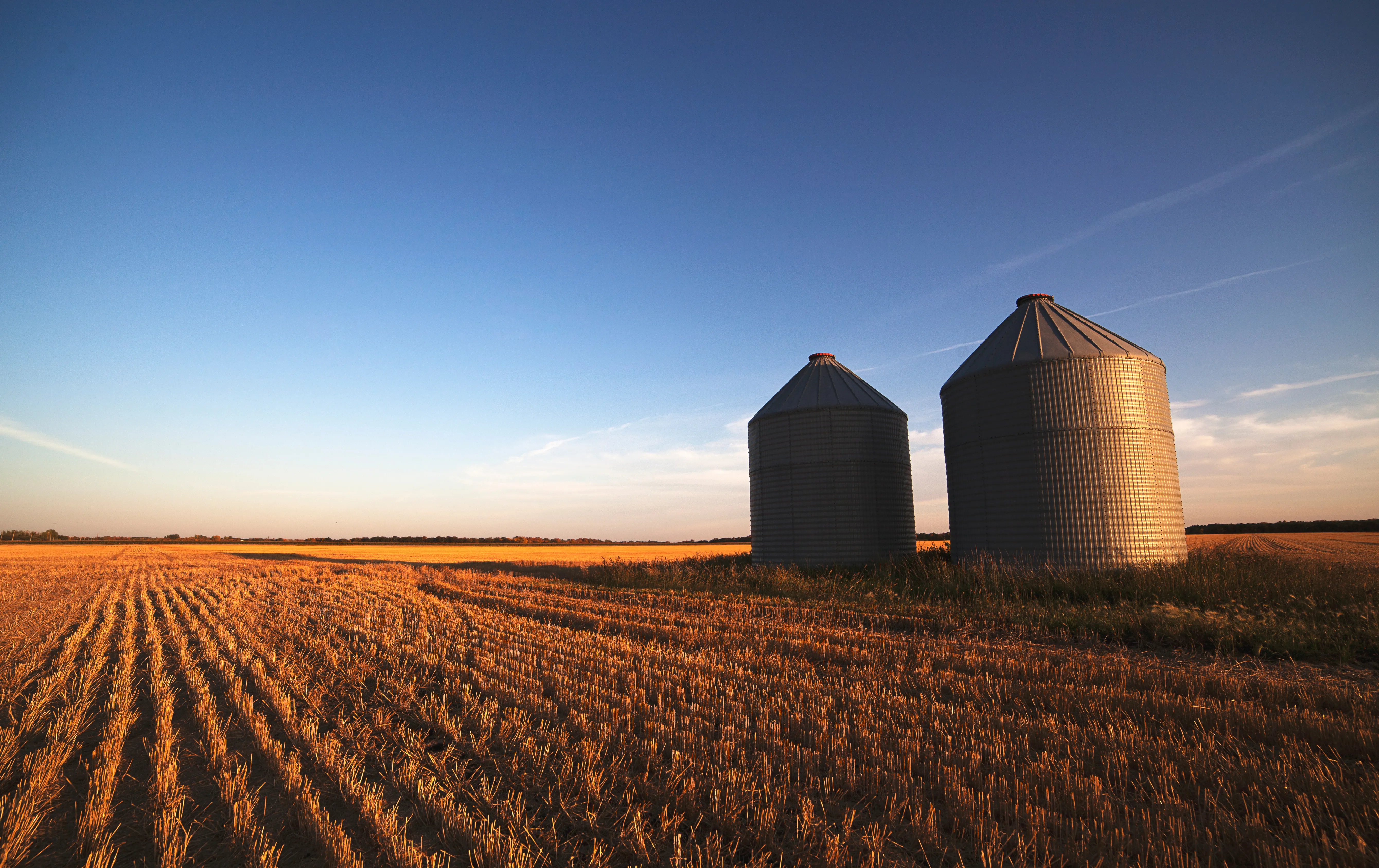 an image of two silos in a field